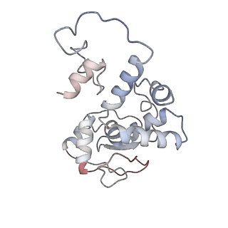 18901_8r55_D_v1-2
Bacillus subtilis MutS2-collided disome complex (collided 70S)