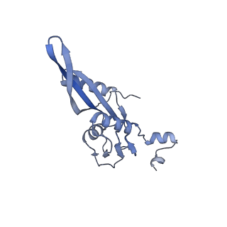 18901_8r55_E_v1-0
Bacillus subtilis MutS2-collided disome complex (stalled 70S)
