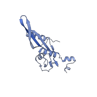 18901_8r55_E_v1-2
Bacillus subtilis MutS2-collided disome complex (collided 70S)