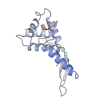 18901_8r55_G_v1-2
Bacillus subtilis MutS2-collided disome complex (collided 70S)