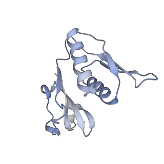 18901_8r55_H_v1-0
Bacillus subtilis MutS2-collided disome complex (stalled 70S)