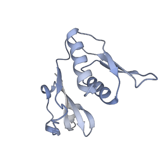 18901_8r55_H_v1-2
Bacillus subtilis MutS2-collided disome complex (collided 70S)