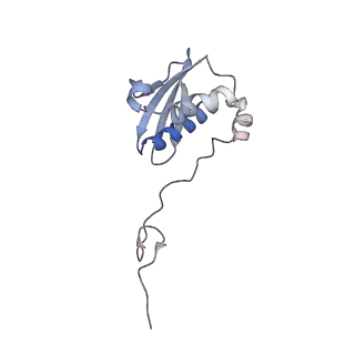 18901_8r55_I_v1-2
Bacillus subtilis MutS2-collided disome complex (collided 70S)