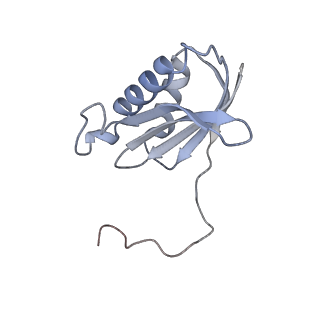18901_8r55_K_v1-0
Bacillus subtilis MutS2-collided disome complex (stalled 70S)