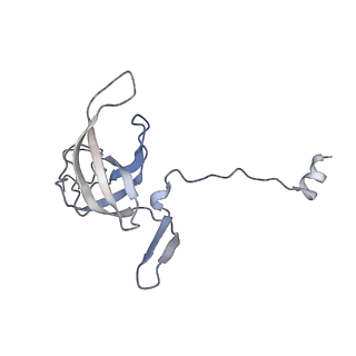 18901_8r55_L_v1-0
Bacillus subtilis MutS2-collided disome complex (stalled 70S)