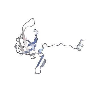 18901_8r55_L_v1-2
Bacillus subtilis MutS2-collided disome complex (collided 70S)