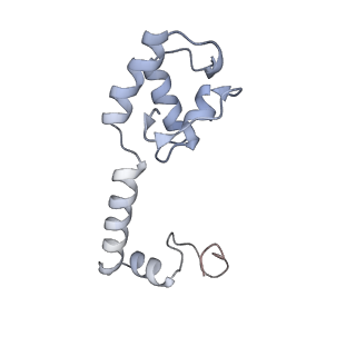 18901_8r55_M_v1-0
Bacillus subtilis MutS2-collided disome complex (stalled 70S)