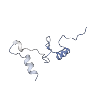 18901_8r55_N_v1-0
Bacillus subtilis MutS2-collided disome complex (stalled 70S)