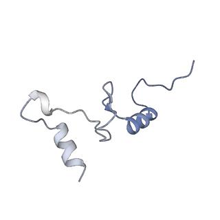 18901_8r55_N_v1-2
Bacillus subtilis MutS2-collided disome complex (collided 70S)