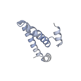 18901_8r55_O_v1-2
Bacillus subtilis MutS2-collided disome complex (collided 70S)