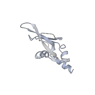 18901_8r55_P_v1-0
Bacillus subtilis MutS2-collided disome complex (stalled 70S)