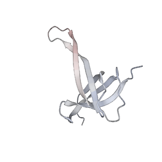 18901_8r55_Q_v1-0
Bacillus subtilis MutS2-collided disome complex (stalled 70S)
