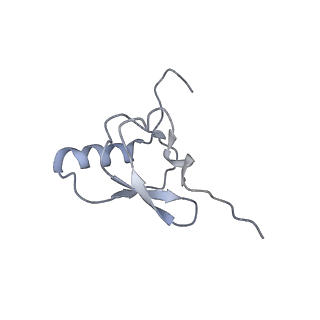 18901_8r55_S_v1-2
Bacillus subtilis MutS2-collided disome complex (collided 70S)