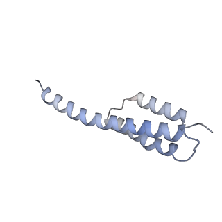 18901_8r55_T_v1-2
Bacillus subtilis MutS2-collided disome complex (collided 70S)