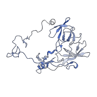 18901_8r55_Z_v1-0
Bacillus subtilis MutS2-collided disome complex (stalled 70S)