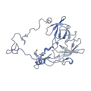 18901_8r55_Z_v1-2
Bacillus subtilis MutS2-collided disome complex (collided 70S)