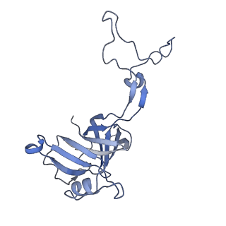 18901_8r55_a_v1-0
Bacillus subtilis MutS2-collided disome complex (stalled 70S)