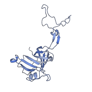 18901_8r55_a_v1-2
Bacillus subtilis MutS2-collided disome complex (collided 70S)