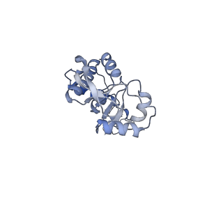 18901_8r55_b_v1-0
Bacillus subtilis MutS2-collided disome complex (stalled 70S)