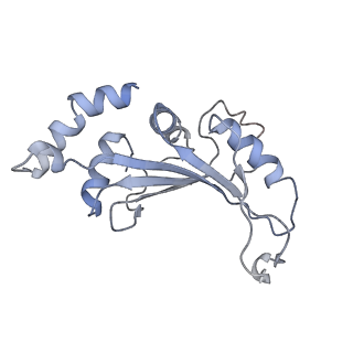 18901_8r55_c_v1-0
Bacillus subtilis MutS2-collided disome complex (stalled 70S)