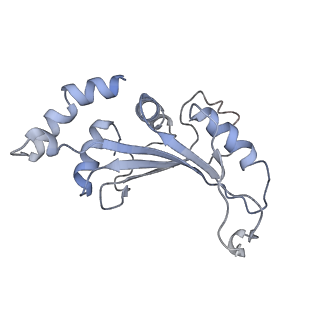 18901_8r55_c_v1-2
Bacillus subtilis MutS2-collided disome complex (collided 70S)