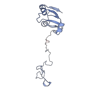 18901_8r55_i_v1-0
Bacillus subtilis MutS2-collided disome complex (stalled 70S)
