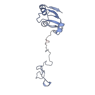 18901_8r55_i_v1-2
Bacillus subtilis MutS2-collided disome complex (collided 70S)