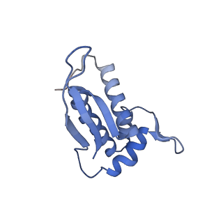 18901_8r55_k_v1-0
Bacillus subtilis MutS2-collided disome complex (stalled 70S)