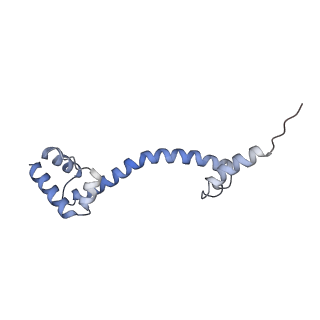 18901_8r55_n_v1-2
Bacillus subtilis MutS2-collided disome complex (collided 70S)