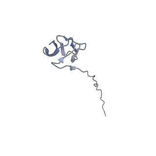 18901_8r55_u_v1-0
Bacillus subtilis MutS2-collided disome complex (stalled 70S)