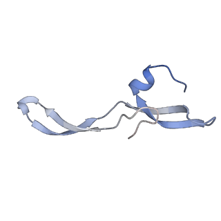 18901_8r55_v_v1-0
Bacillus subtilis MutS2-collided disome complex (stalled 70S)