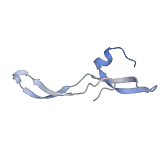 18901_8r55_v_v1-2
Bacillus subtilis MutS2-collided disome complex (collided 70S)