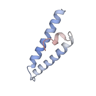 18901_8r55_w_v1-2
Bacillus subtilis MutS2-collided disome complex (collided 70S)