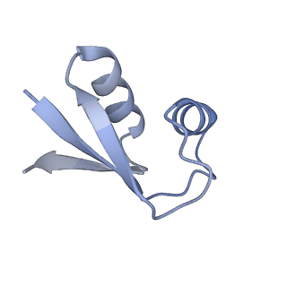 18901_8r55_x_v1-2
Bacillus subtilis MutS2-collided disome complex (collided 70S)