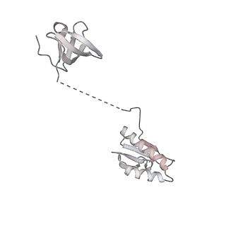 18901_8r55_z_v1-0
Bacillus subtilis MutS2-collided disome complex (stalled 70S)