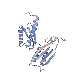 18903_8r57_F_v1-1
CryoEM structure of wheat 40S ribosomal subunit, head domain