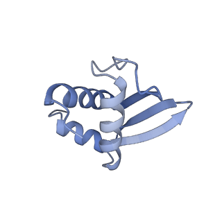 18903_8r57_K_v1-1
CryoEM structure of wheat 40S ribosomal subunit, head domain