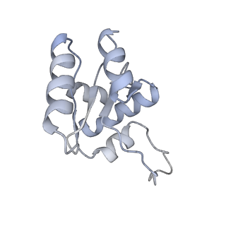 18903_8r57_M_v1-1
CryoEM structure of wheat 40S ribosomal subunit, head domain
