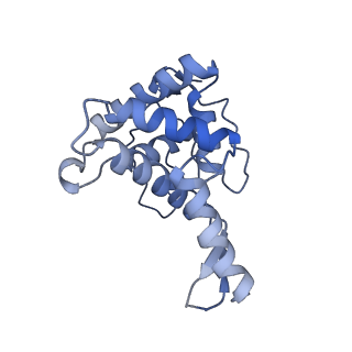 18903_8r57_P_v1-1
CryoEM structure of wheat 40S ribosomal subunit, head domain