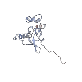 18903_8r57_R_v1-1
CryoEM structure of wheat 40S ribosomal subunit, head domain