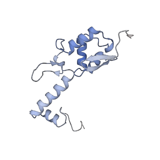 18903_8r57_S_v1-1
CryoEM structure of wheat 40S ribosomal subunit, head domain
