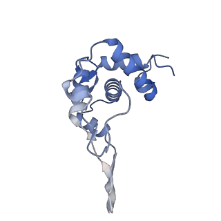 18903_8r57_T_v1-1
CryoEM structure of wheat 40S ribosomal subunit, head domain