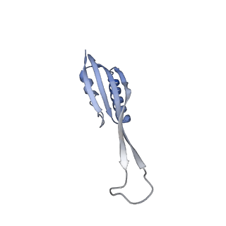 18903_8r57_U_v1-1
CryoEM structure of wheat 40S ribosomal subunit, head domain