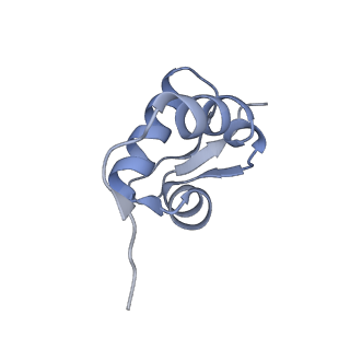 18903_8r57_Z_v1-1
CryoEM structure of wheat 40S ribosomal subunit, head domain