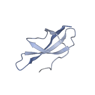 18903_8r57_c_v1-1
CryoEM structure of wheat 40S ribosomal subunit, head domain