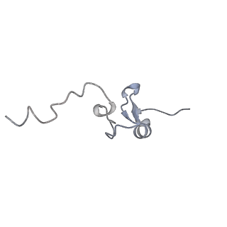 18903_8r57_d_v1-1
CryoEM structure of wheat 40S ribosomal subunit, head domain