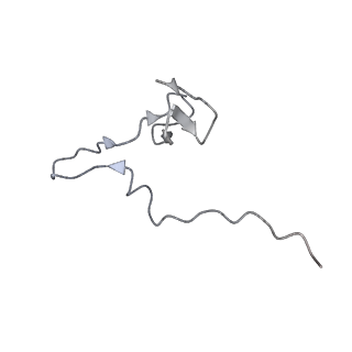 18903_8r57_f_v1-1
CryoEM structure of wheat 40S ribosomal subunit, head domain