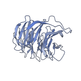 18903_8r57_g_v1-1
CryoEM structure of wheat 40S ribosomal subunit, head domain