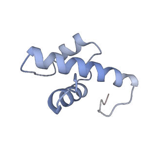 18903_8r57_h_v1-1
CryoEM structure of wheat 40S ribosomal subunit, head domain