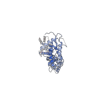 18915_8r5h_A_v1-1
Ubiquitin ligation to neosubstrate by a cullin-RING E3 ligase & Cdc34: NEDD8-CUL2-RBX1-ELOB/C-VHL-MZ1 with trapped UBE2R2~donor UB-BRD4 BD2